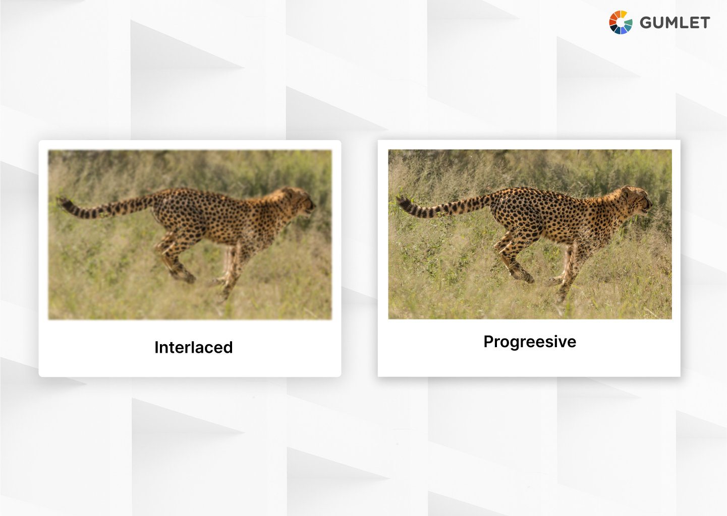 A Guide on Interlaced Video